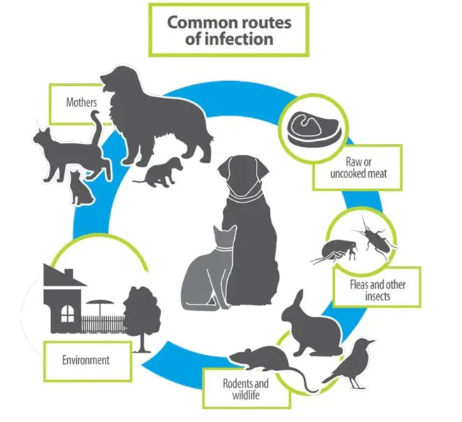 DEWORMING