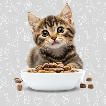 Cat Treats - The City Vet Shop