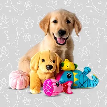 Dog Toys - The City Vet Shop