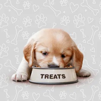 Dog Treats - The City Vet Shop