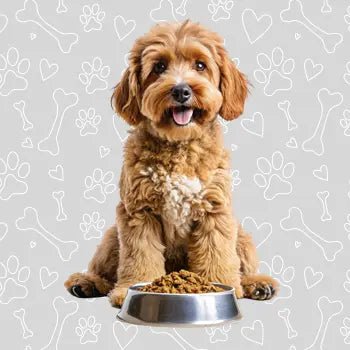 Dog Wet Food - The City Vet Shop