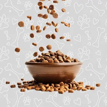 Dry Food - The City Vet Shop