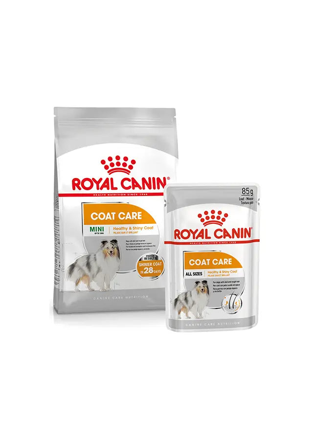 Canine Care Nutrition Coat Care (WET FOOD - Pouches) 12 x 85g Royal Canin