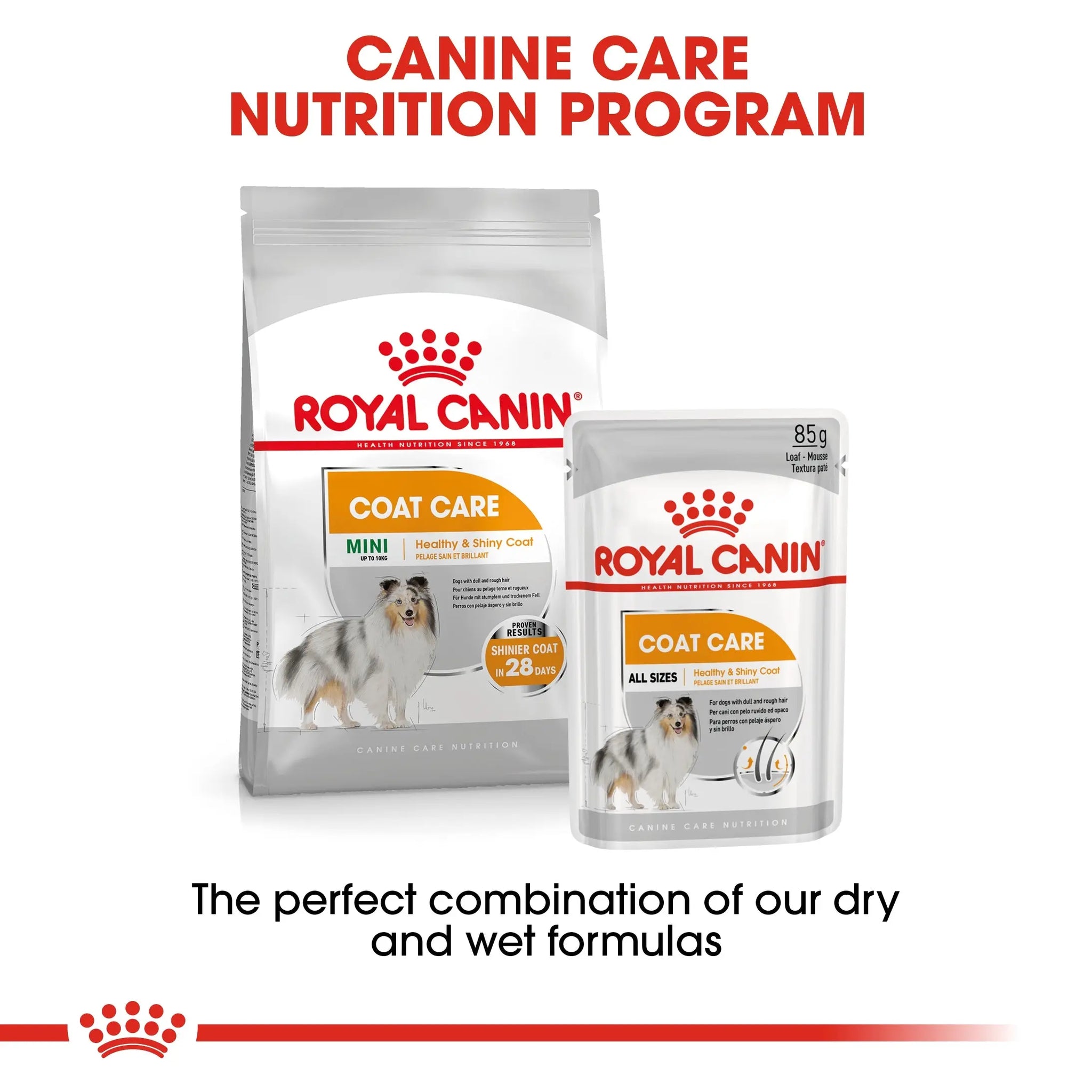 Canine Care Nutrition Coat Care (WET FOOD - Pouches) 12 x 85g Royal Canin