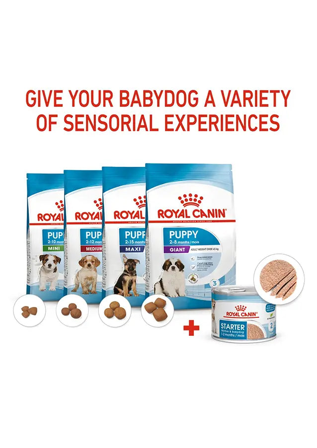 Canine Health Nutrition Starter Mousse (WET FOOD - Cans) 12 x 195g Royal Canin