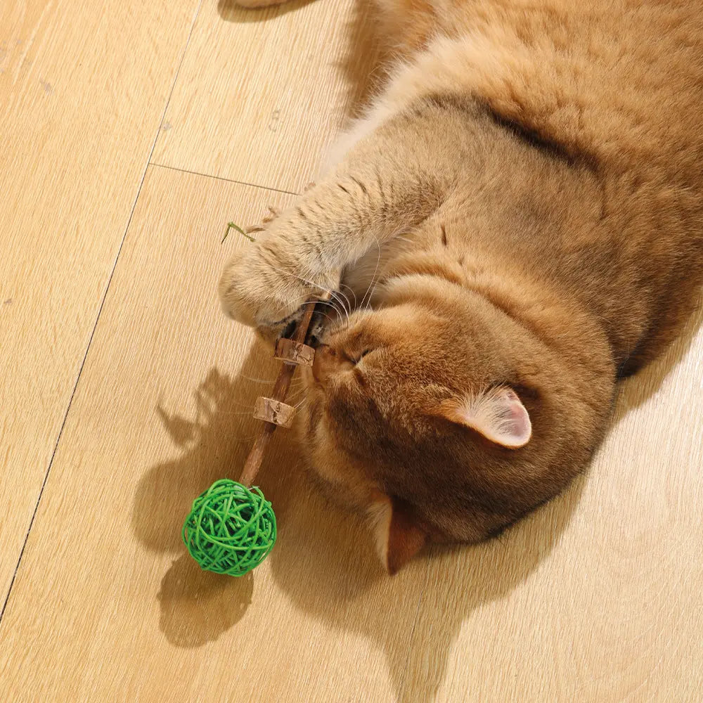 M-PETS Charmy Amulet Matatabi Catnip Cat Toy M-Pets
