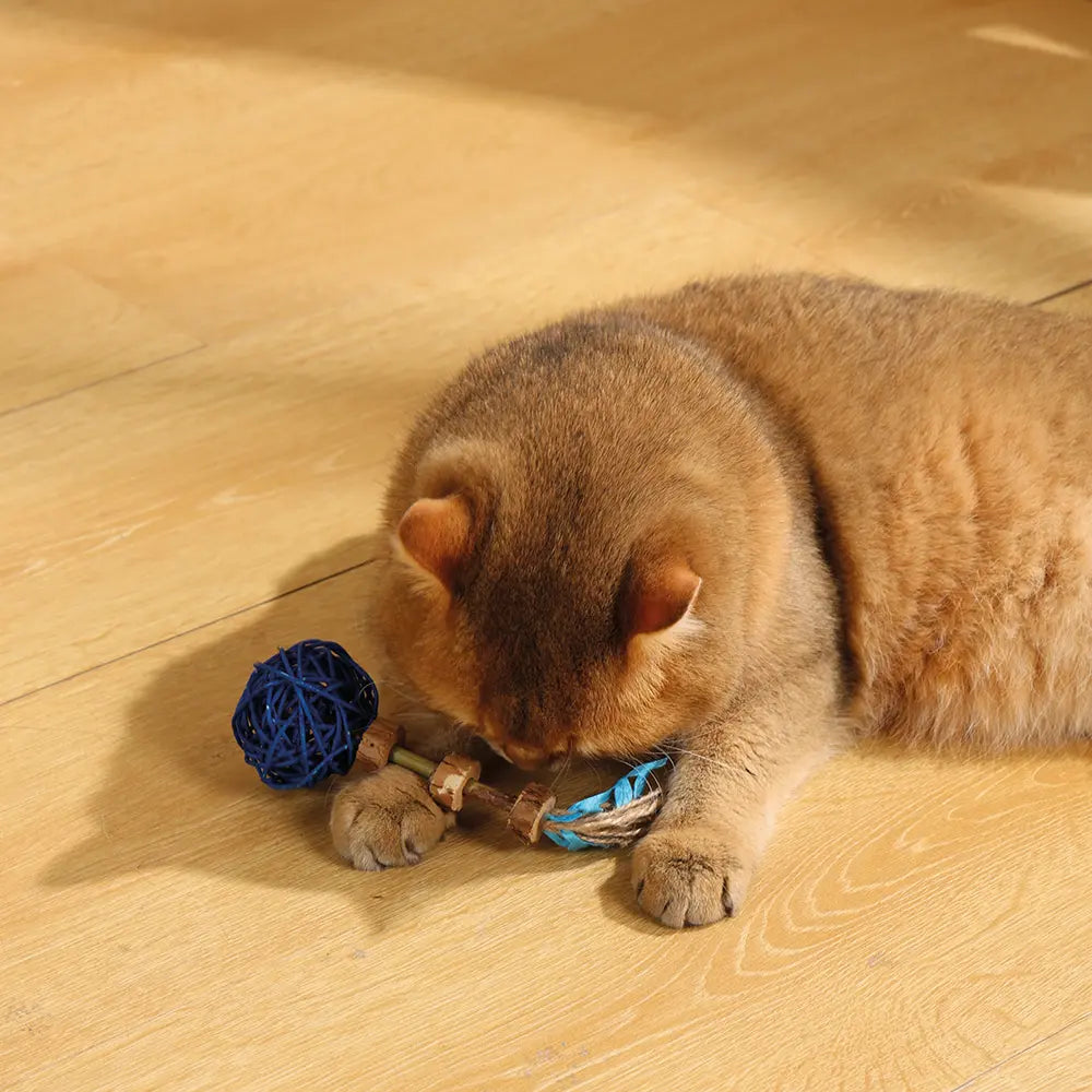 M-PETS Charmy Amulet Matatabi Catnip Cat Toy M-Pets