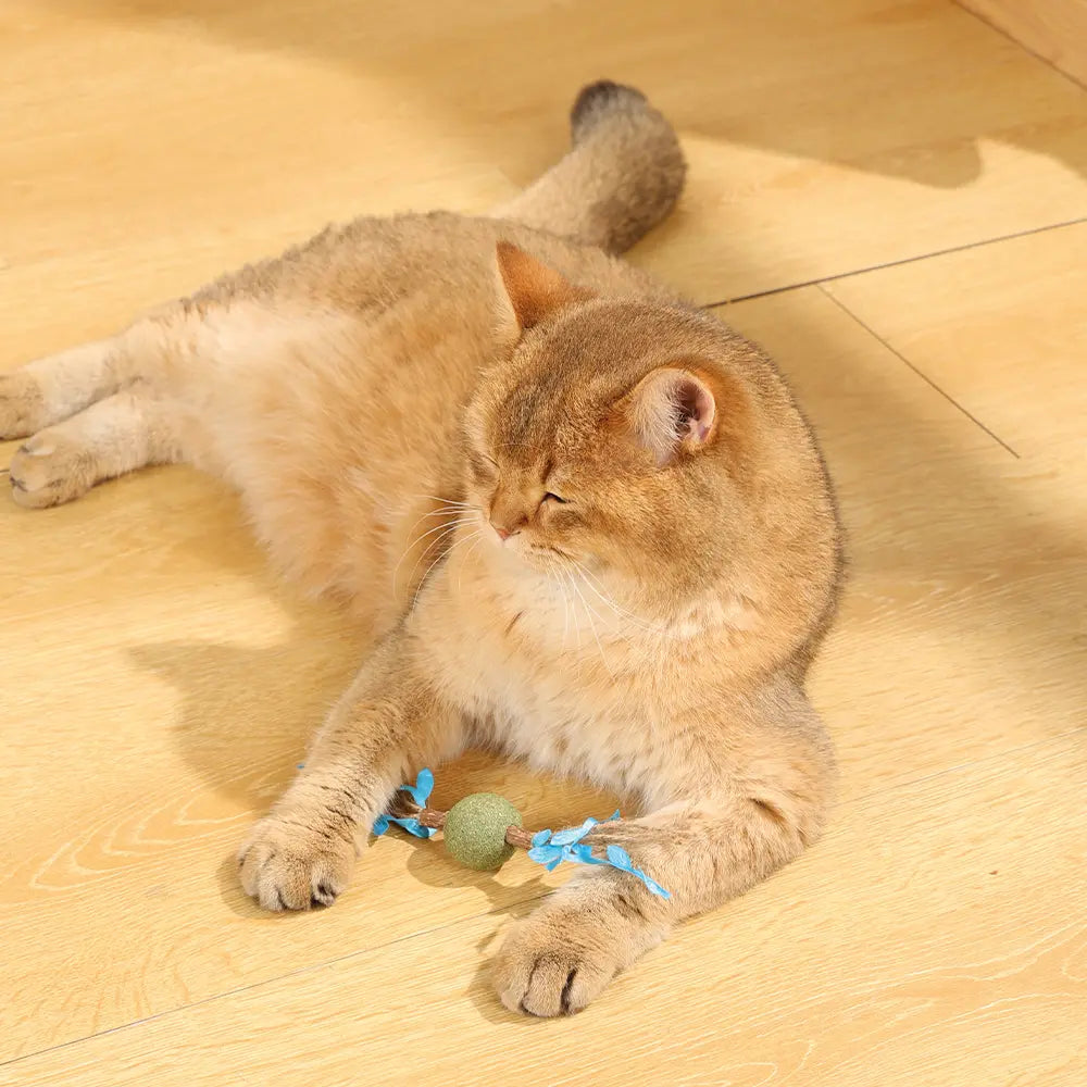 M-PETS Charmy Branch Catnip Cat Toy M-Pets