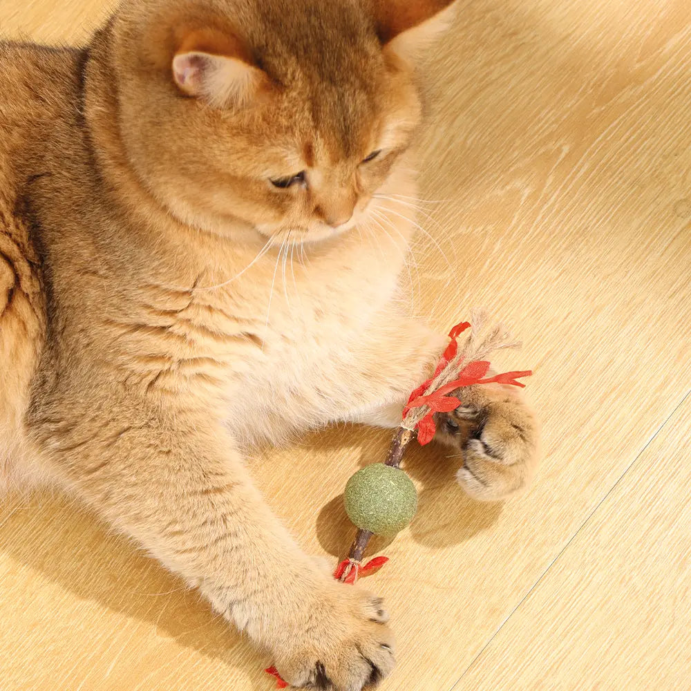 M-PETS Charmy Branch Catnip Cat Toy M-Pets