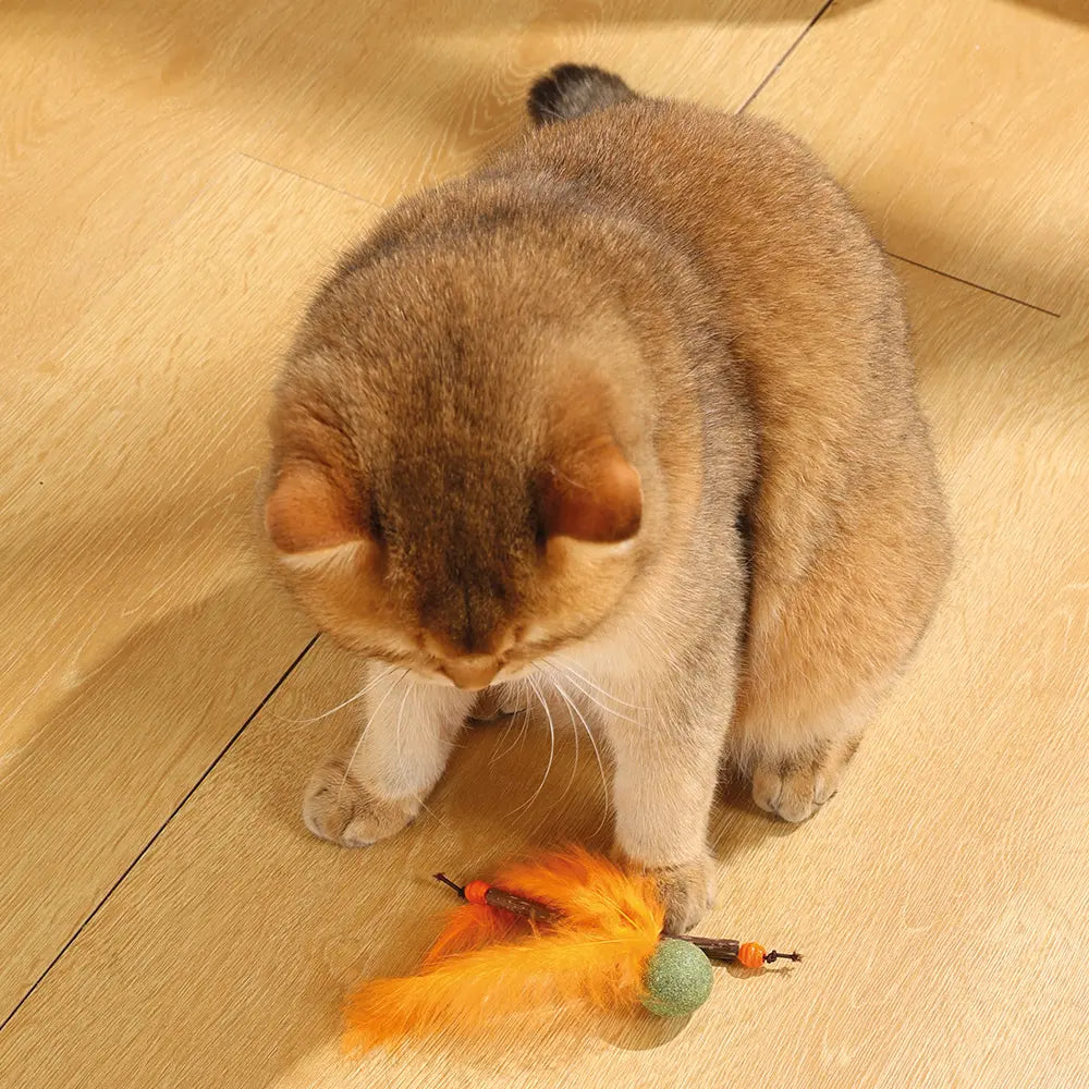 M-PETS Charmy Bugbear Catnip Cat Toy M-Pets