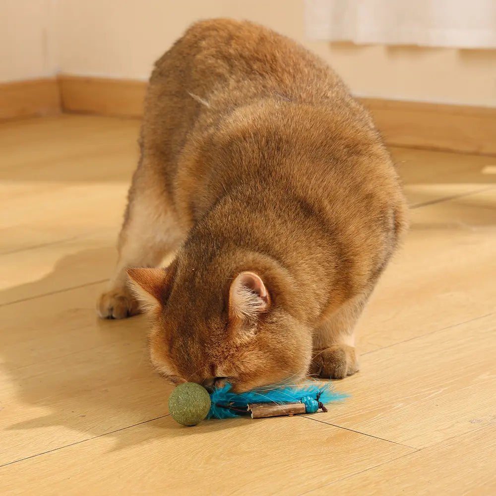 M-PETS Charmy Bugbear Catnip Cat Toy M-Pets