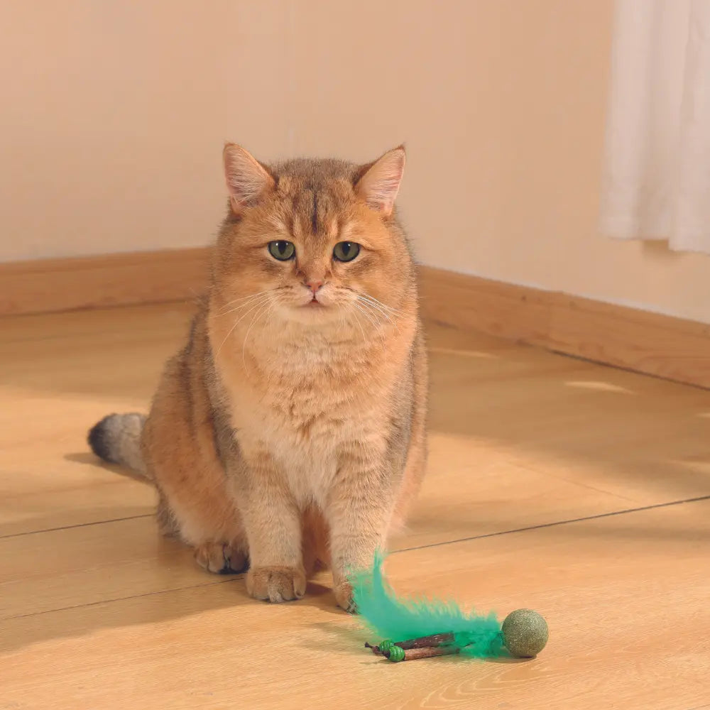 M-PETS Charmy Bugbear Catnip Cat Toy M-Pets