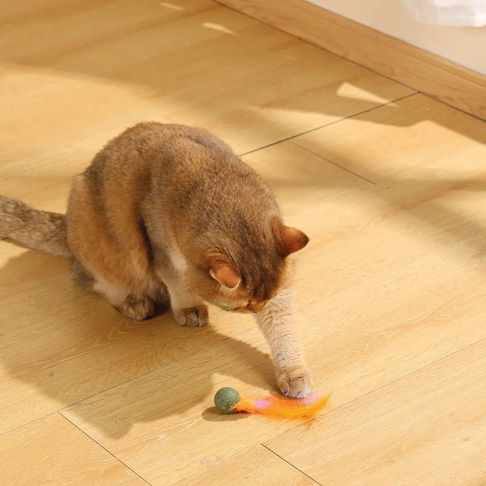 M-PETS Charmy Firefly Catnip Cat Toy M-Pets