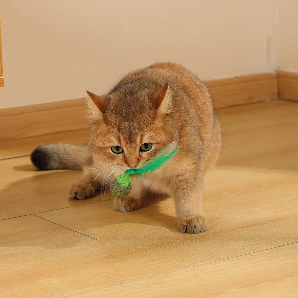 M-PETS Charmy Firefly Catnip Cat Toy M-Pets