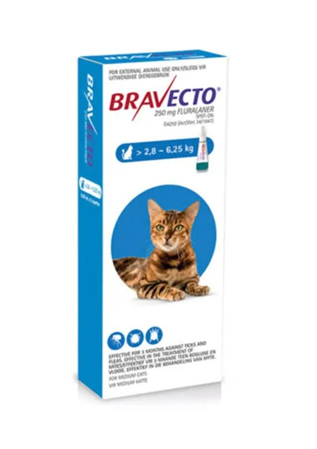 Bravecto Spot - On for Cats 0.89ml - The City Vet Shop