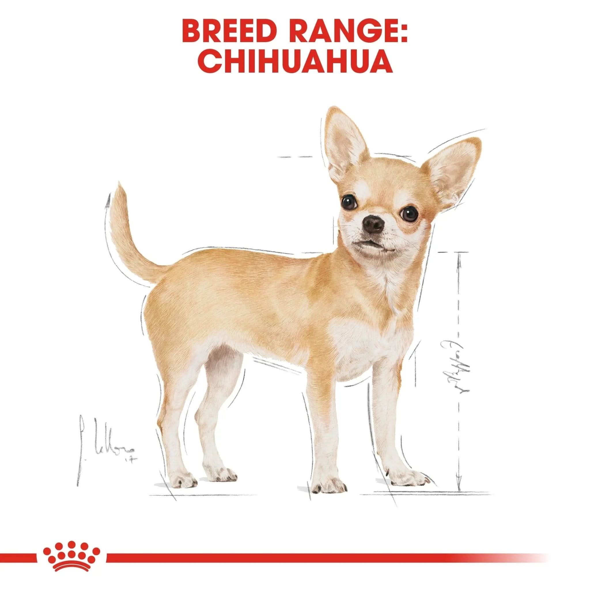 Breed Health Nutrition Chihuahua Adult 1.5 KG - The City Vet Shop