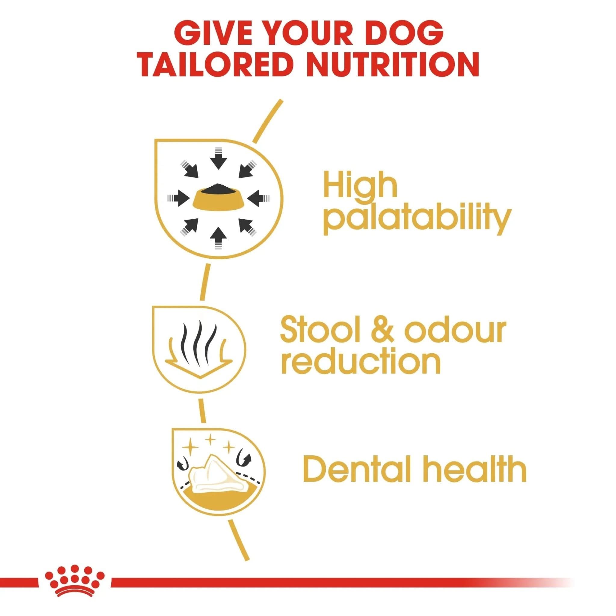 Breed Health Nutrition Chihuahua Adult 1.5 KG - The City Vet Shop