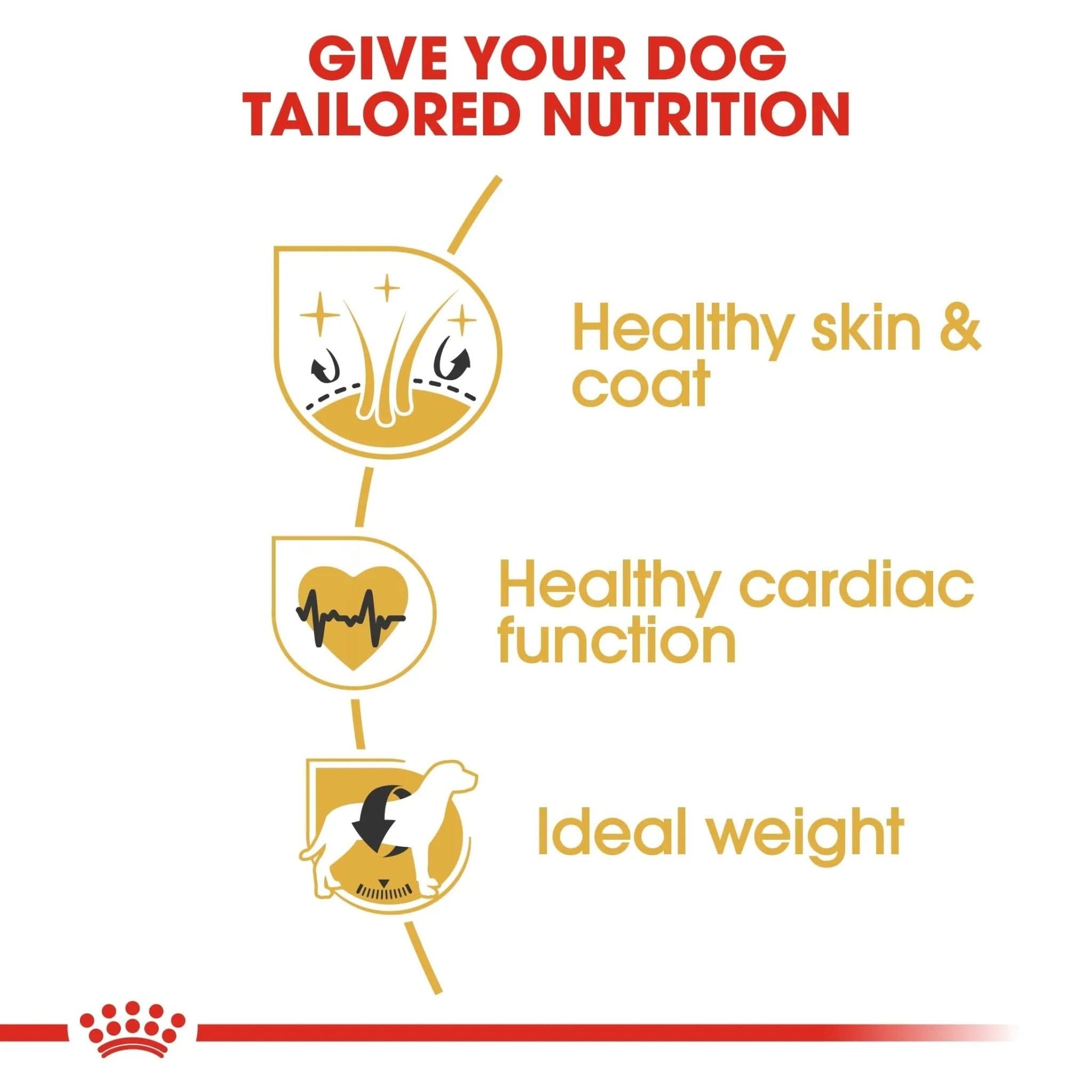 Breed Health Nutrition Golden Retriever Adult 12 KG - The City Vet Shop
