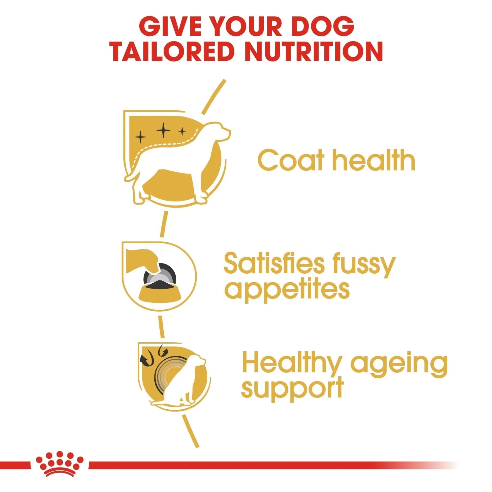 Breed Health Nutrition Yorkshire Adult 1.5 KG - The City Vet Shop