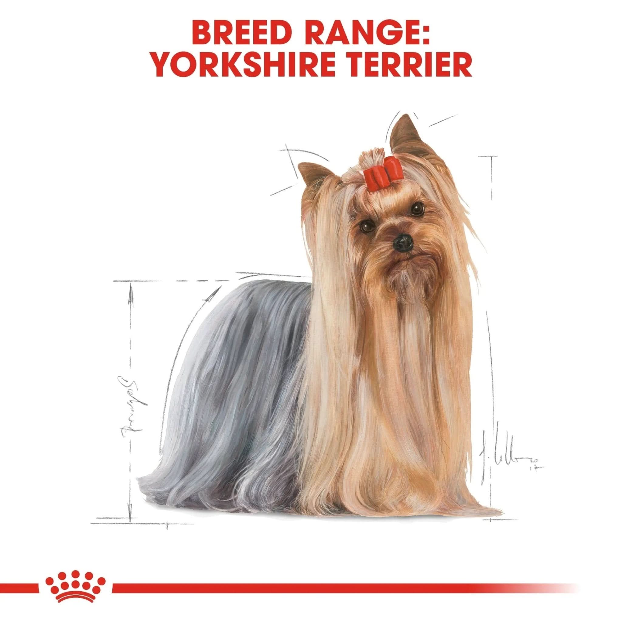 Breed Health Nutrition Yorkshire Adult 1.5 KG - The City Vet Shop