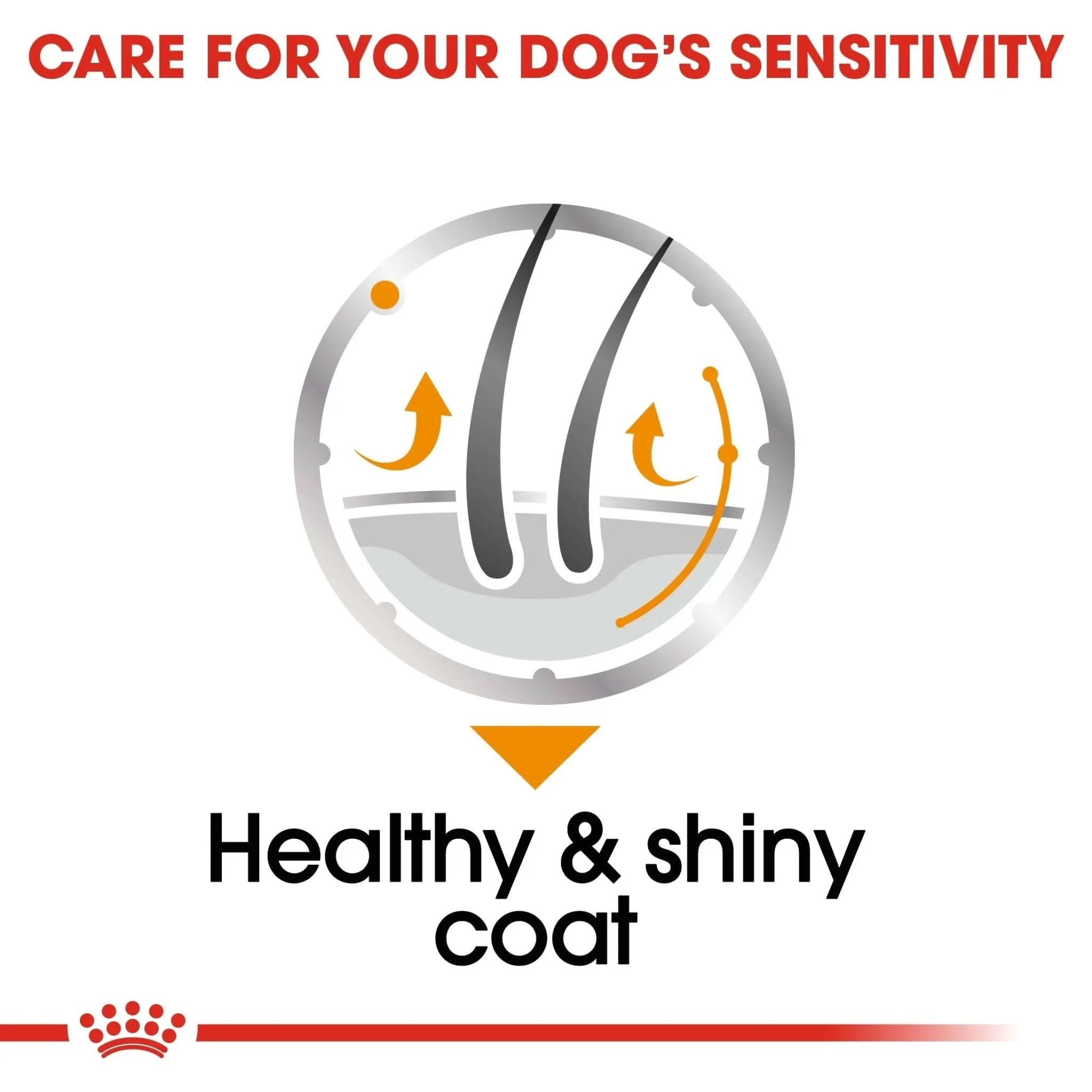 Canine Care Nutrition Coat Care (WET FOOD - Pouches) 12 x 85g - The City Vet Shop