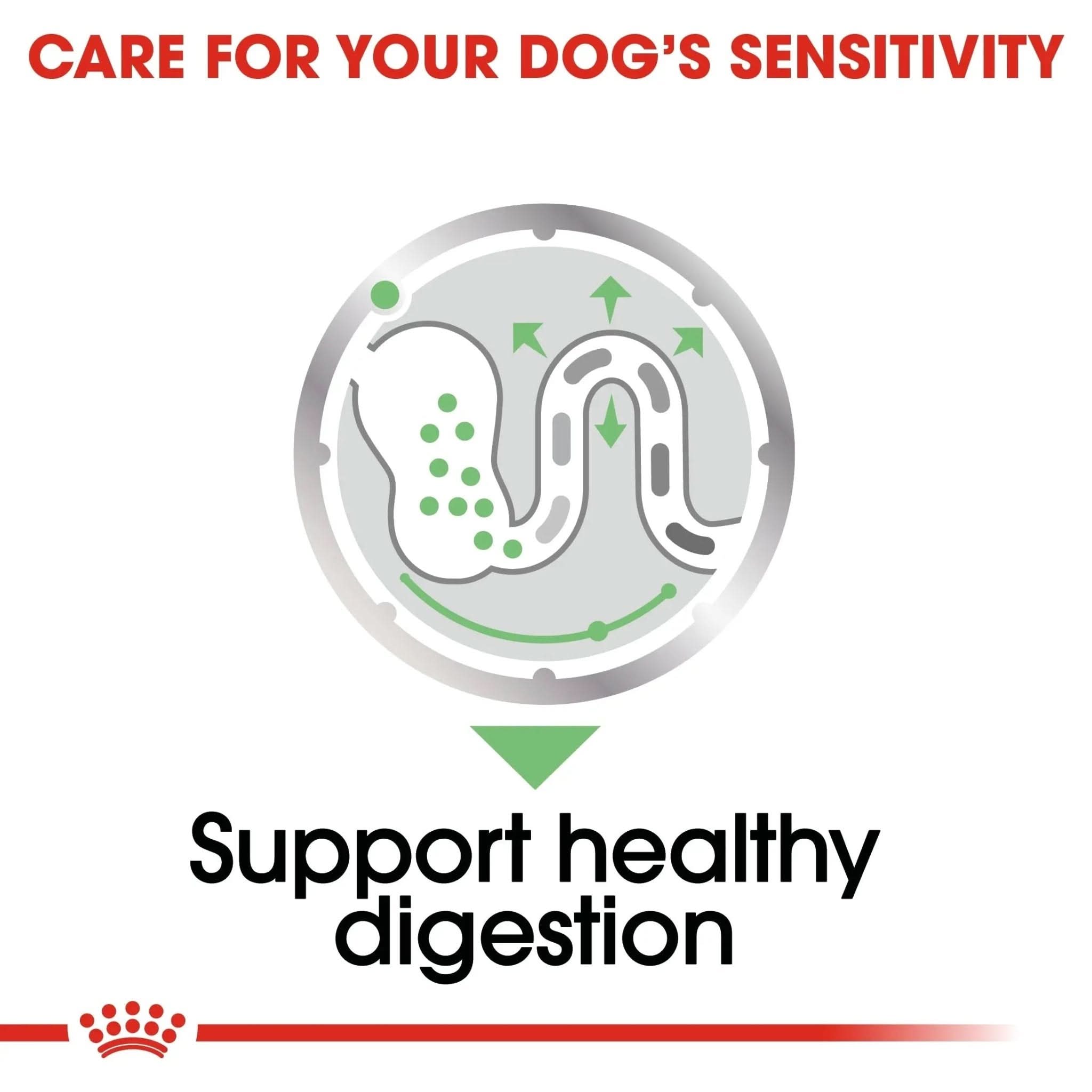 Canine Care Nutrition Digestive Care (WET FOOD - Pouches) 12 x 85g - The City Vet Shop