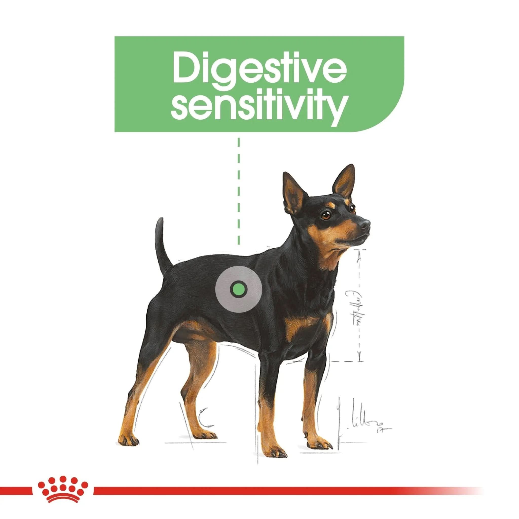 Canine Care Nutrition Digestive Care (WET FOOD - Pouches) 12 x 85g - The City Vet Shop
