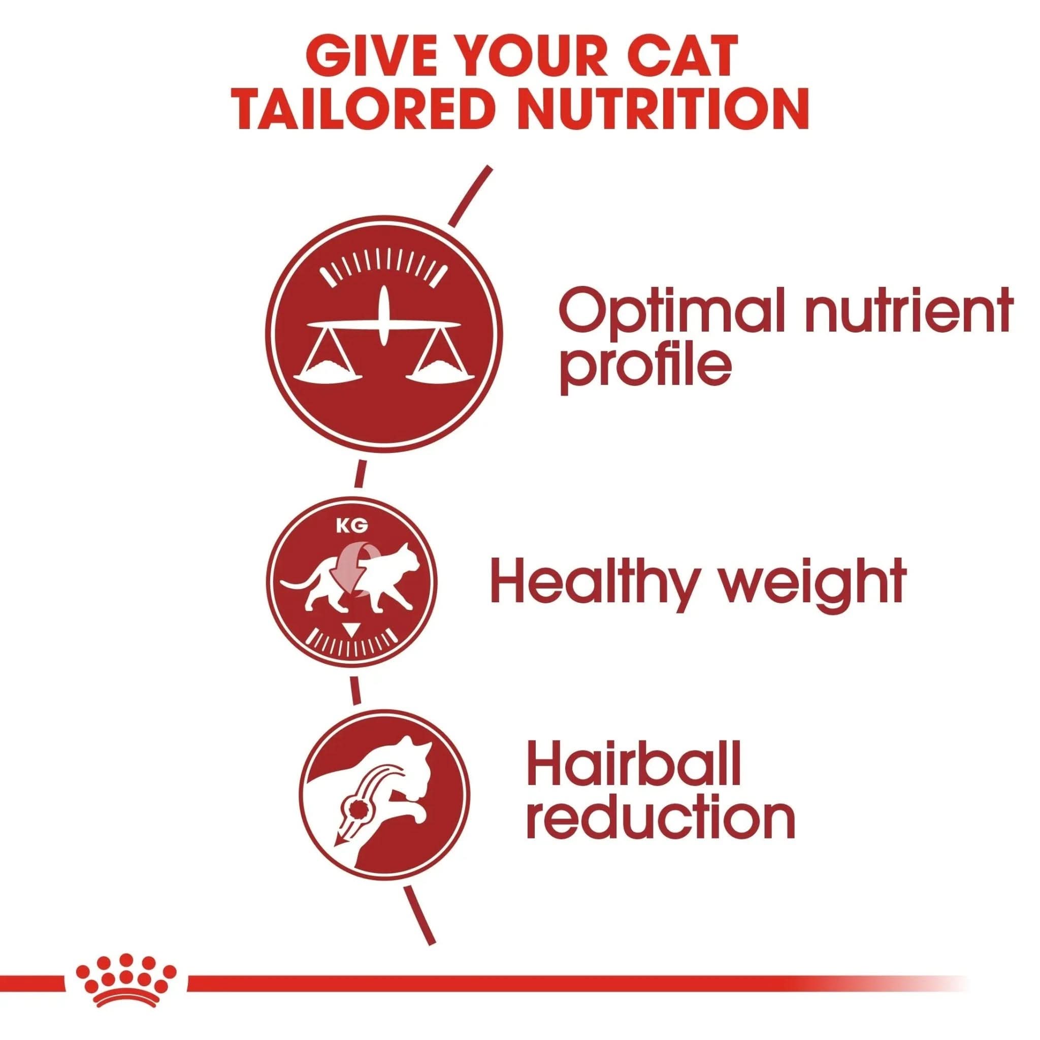 Feline Health Nutrition Fit 32 - 2 KG - The City Vet Shop