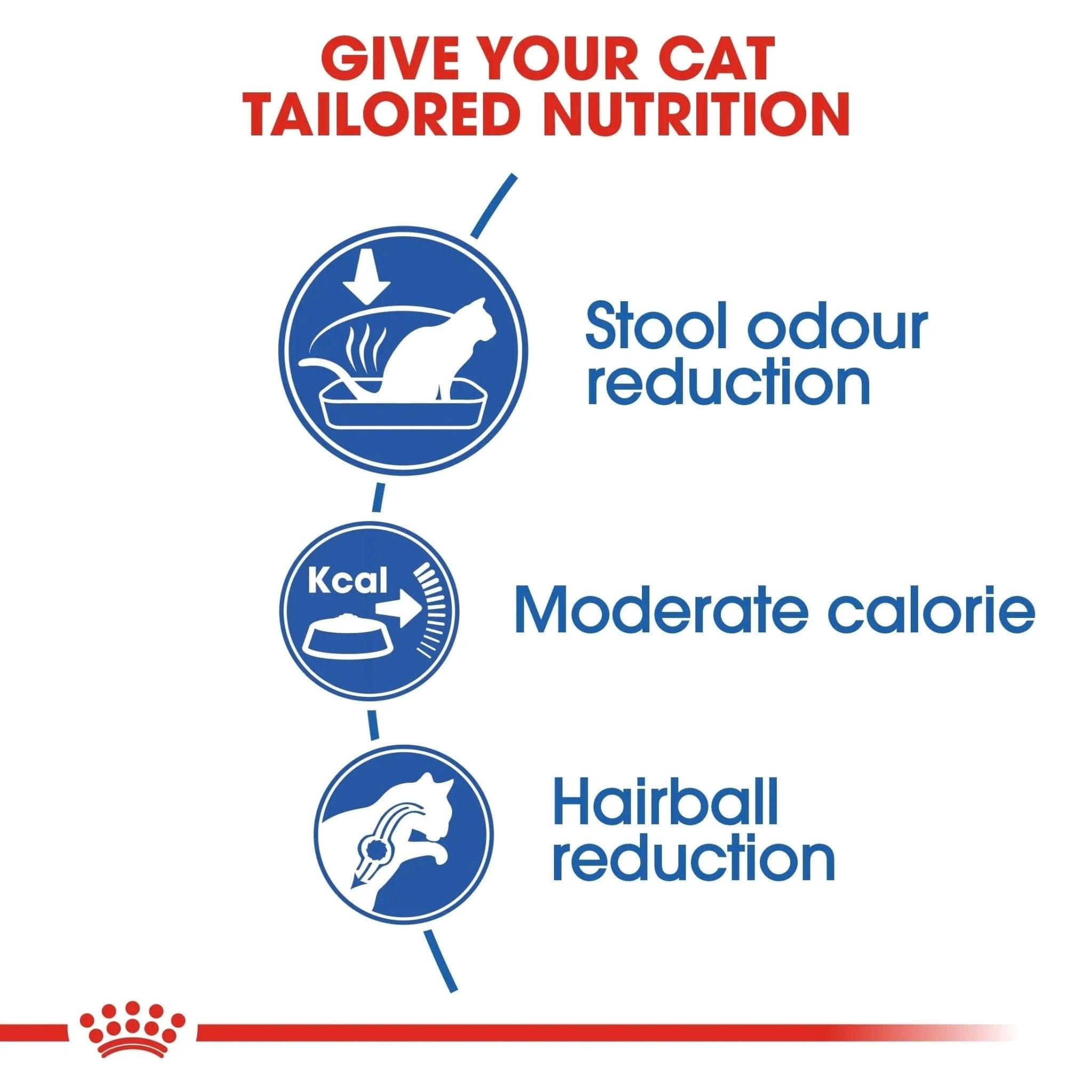 Feline Health Nutrition Indoor 2 KG - The City Vet Shop