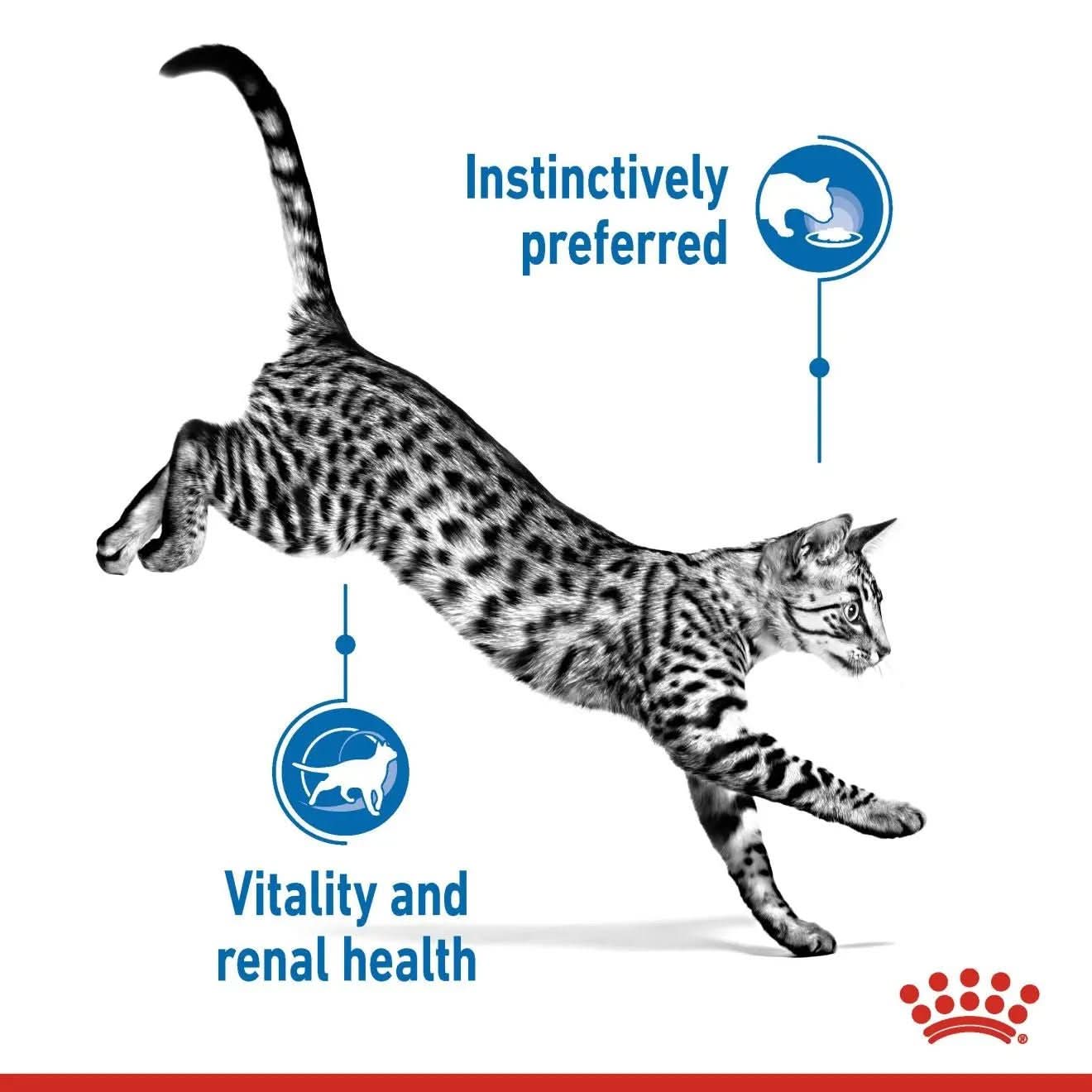 Feline Health Nutrition Indoor (WET FOOD - Pouches) 12 x 85g - The City Vet Shop
