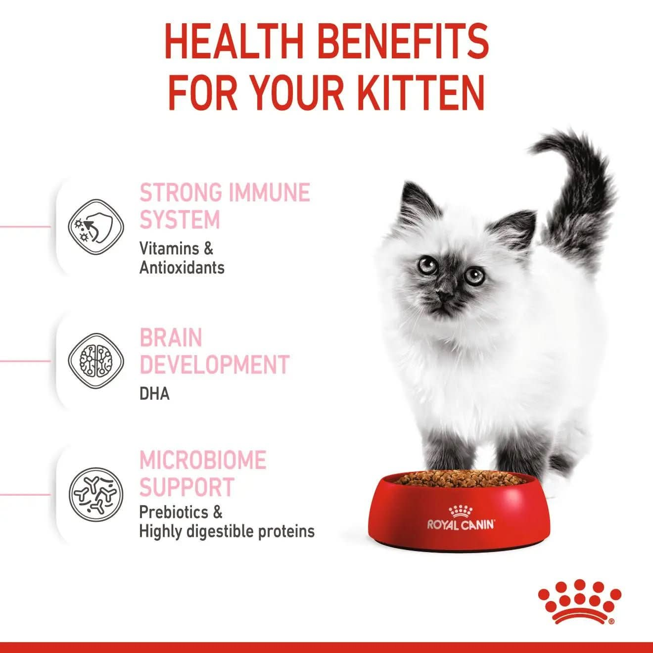Feline Health Nutrition Kitten 4 KG - The City Vet Shop