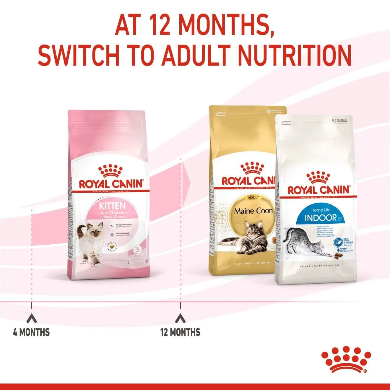 Feline Health Nutrition Kitten 4 KG - The City Vet Shop