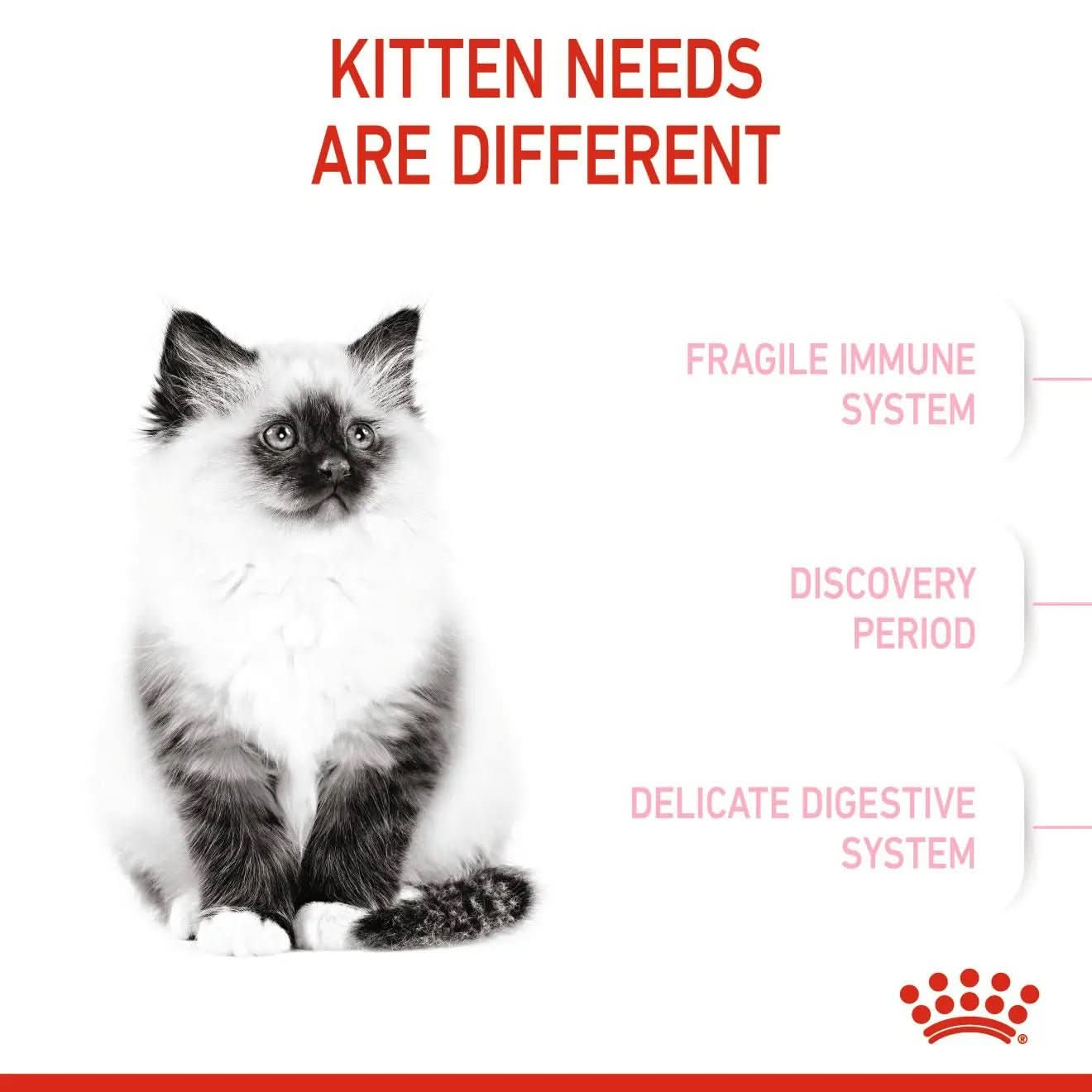 Feline Health Nutrition Kitten 4 KG - The City Vet Shop
