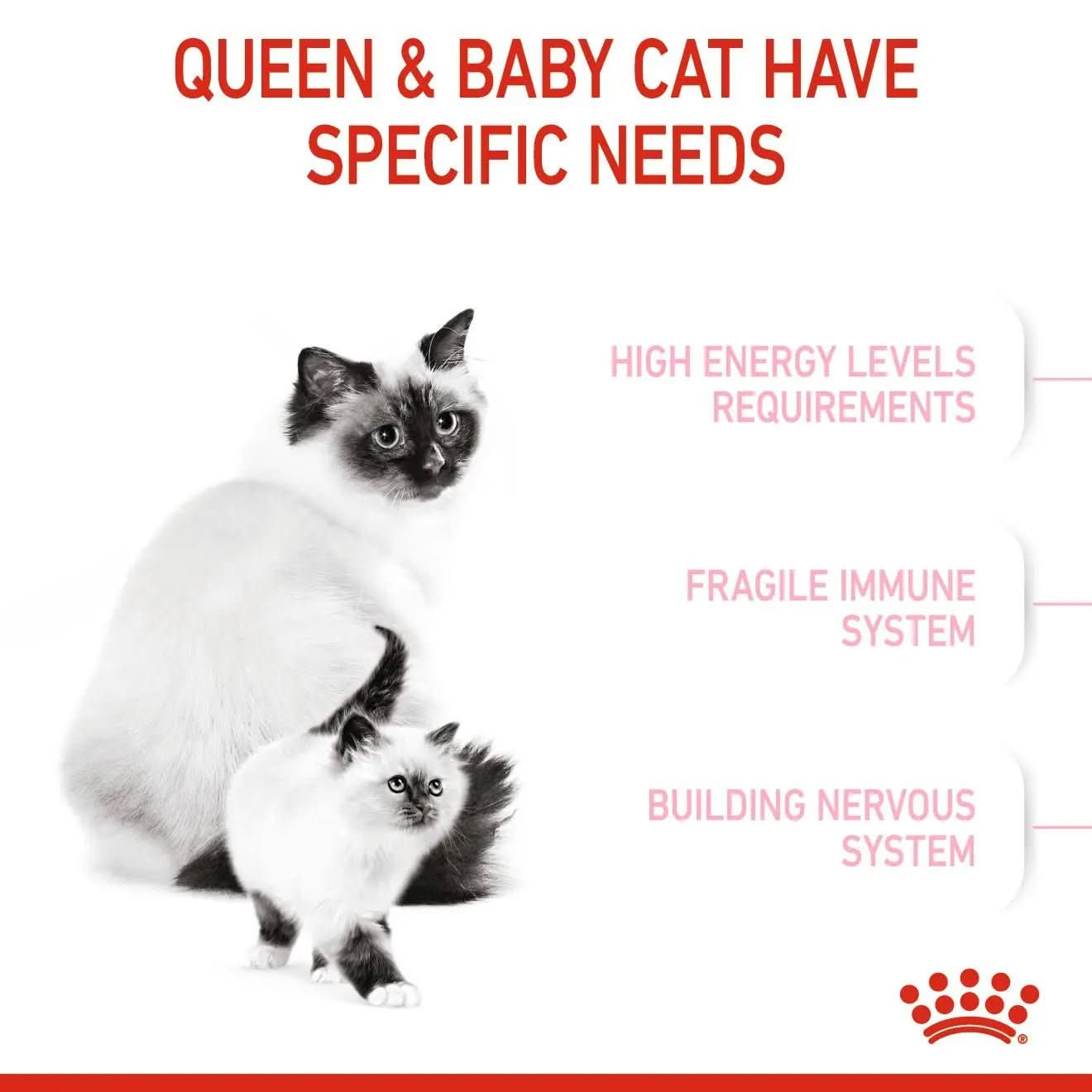 Feline Health Nutrition Mother & Babycat 4 KG - The City Vet Shop