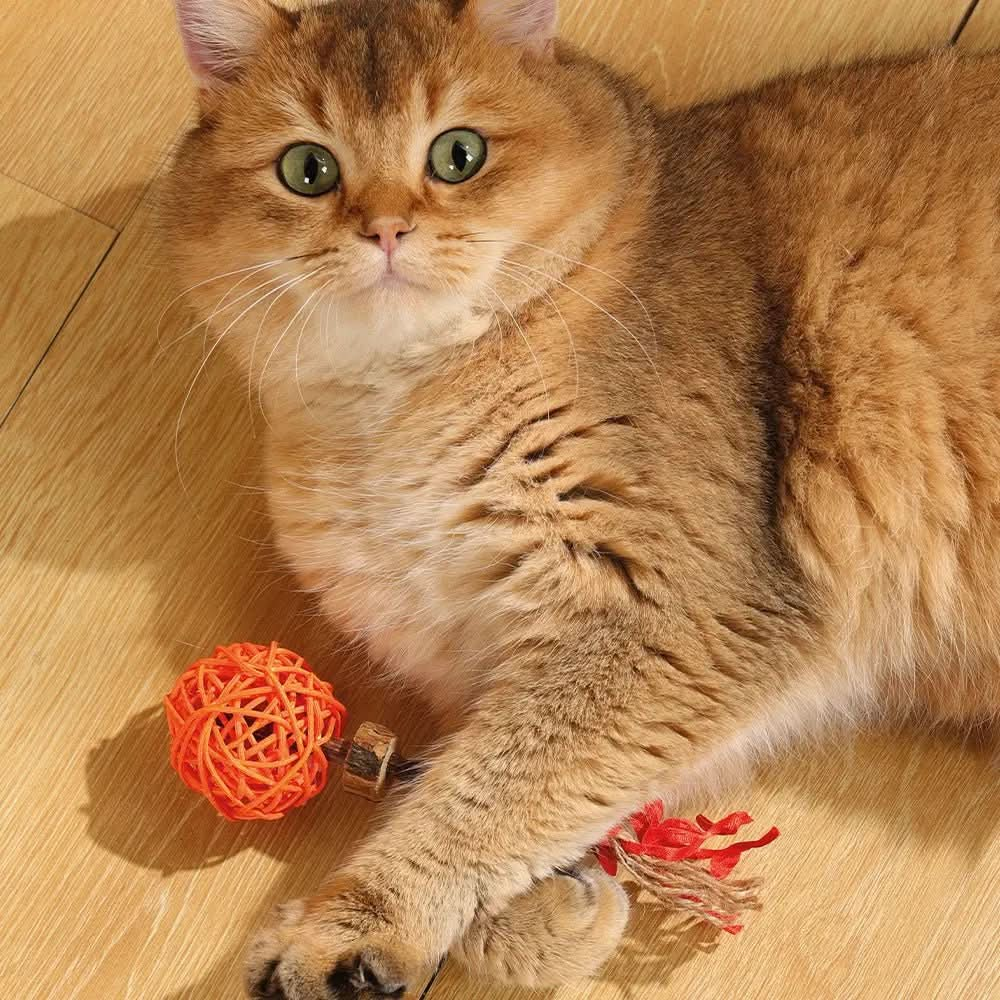 M - PETS Charmy Amulet Matatabi Catnip Cat Toy - The City Vet Shop