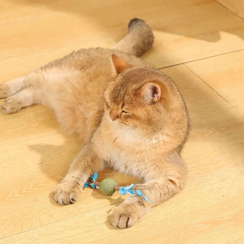 M - PETS Charmy Branch Catnip Cat Toy - The City Vet Shop