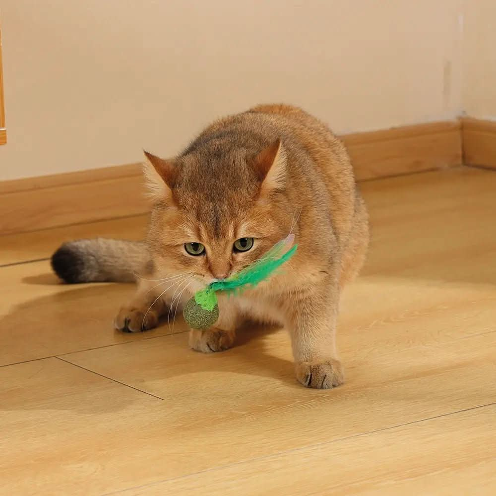 M - PETS Charmy Firefly Catnip Cat Toy - The City Vet Shop