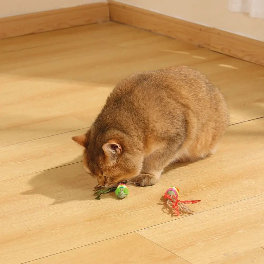 M - PETS Charmy Mice Catnip Cat Toy - The City Vet Shop