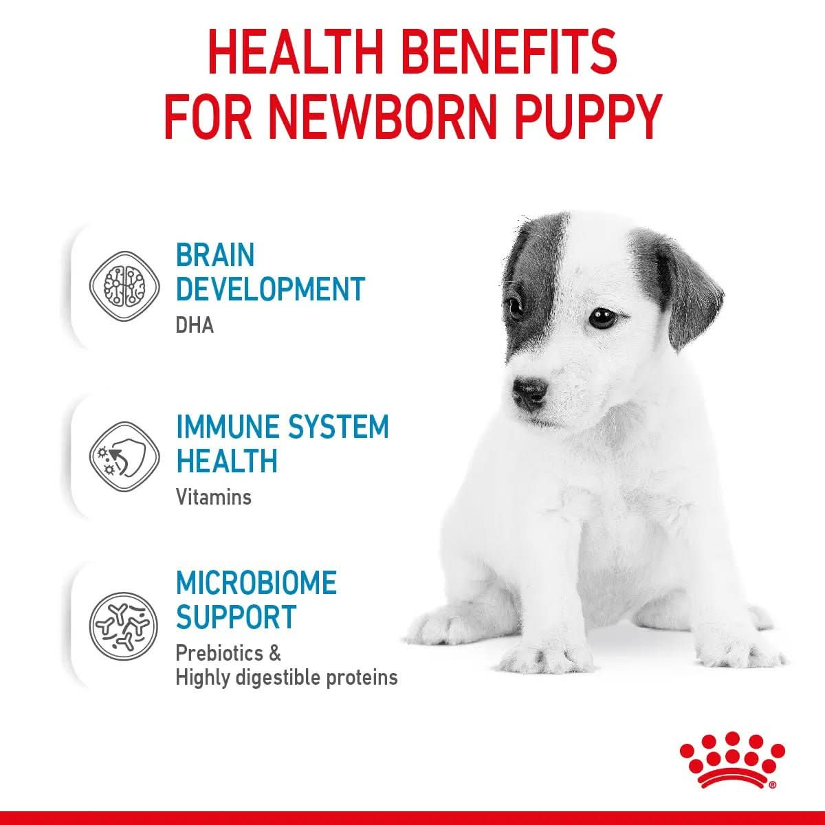 Size Health Nutrition Babydog Milk 400 g - The City Vet Shop