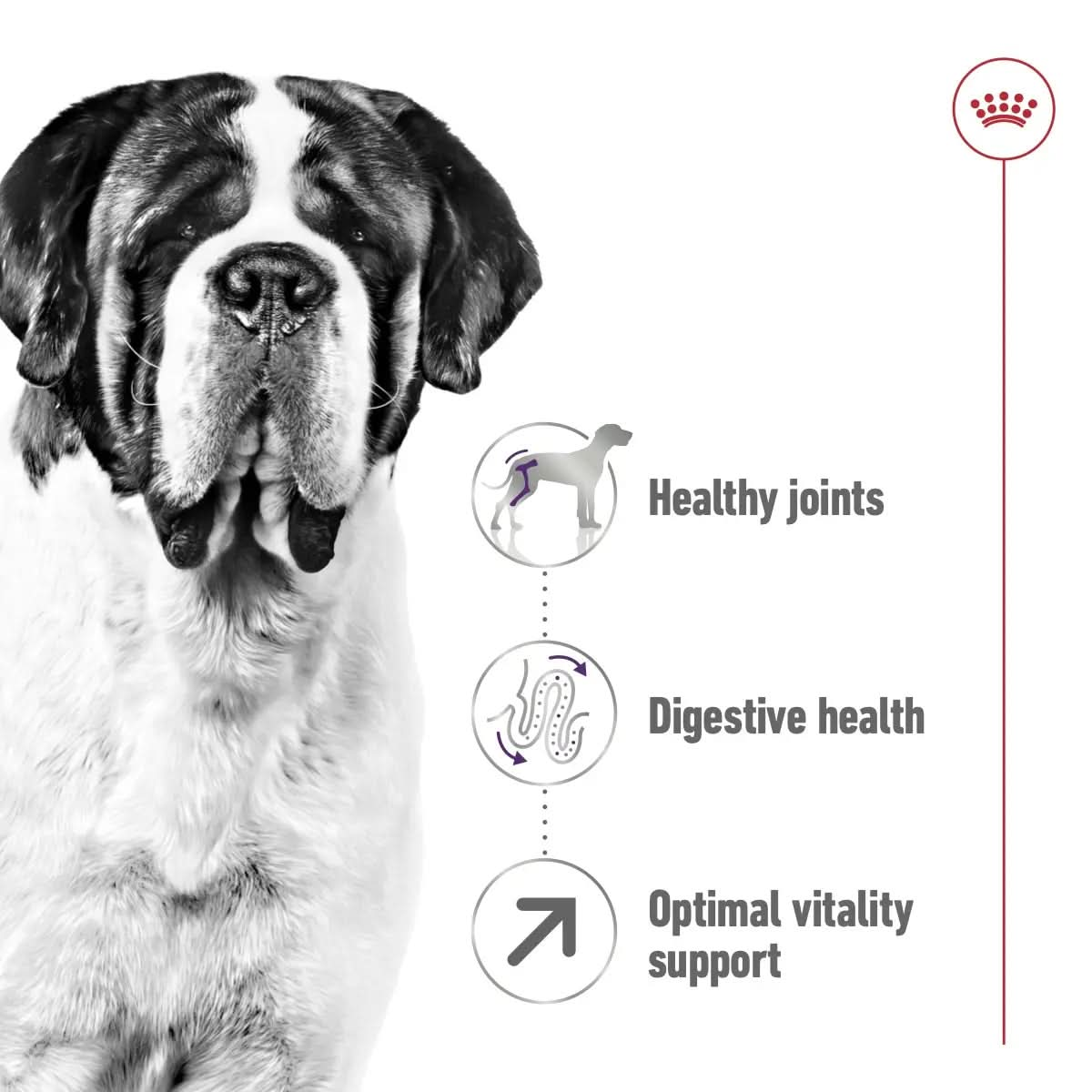 Size Health Nutrition Giant Adult 15 KG - The City Vet Shop