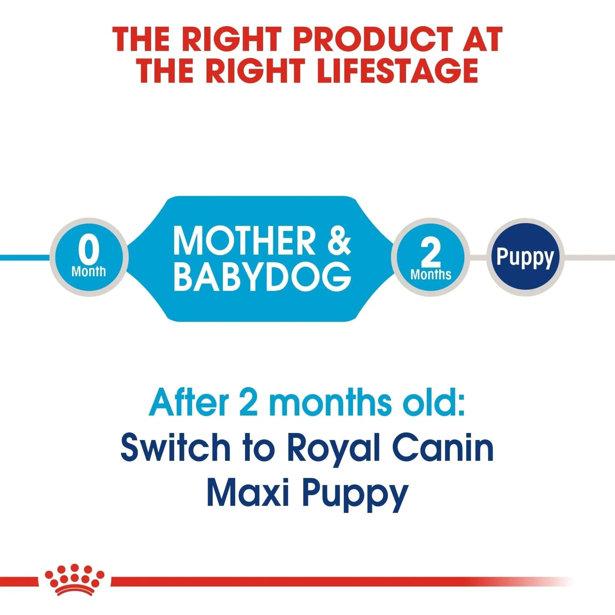 Size Health Nutrition Maxi Starter 4 KG - The City Vet Shop