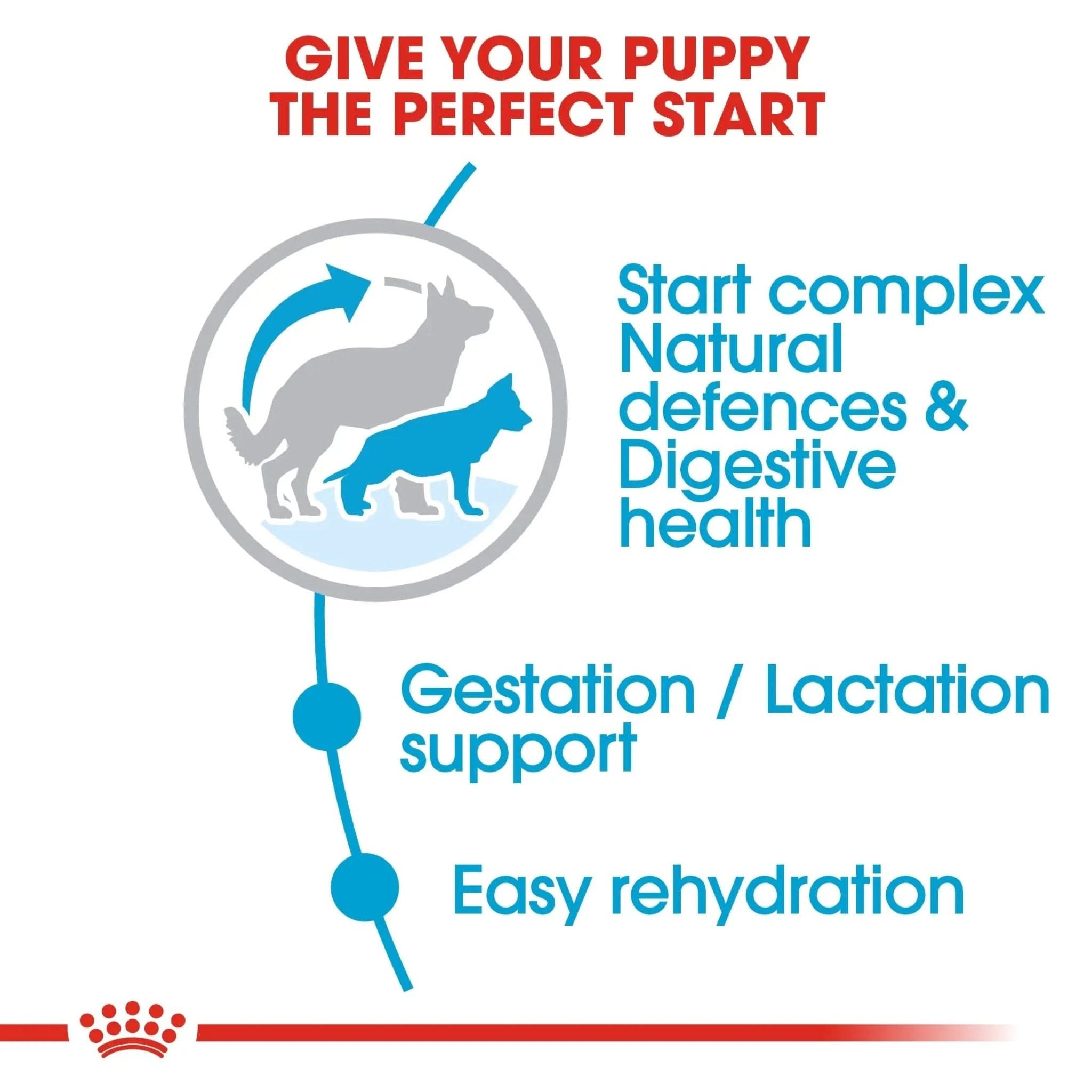 Size Health Nutrition Maxi Starter 4 KG - The City Vet Shop