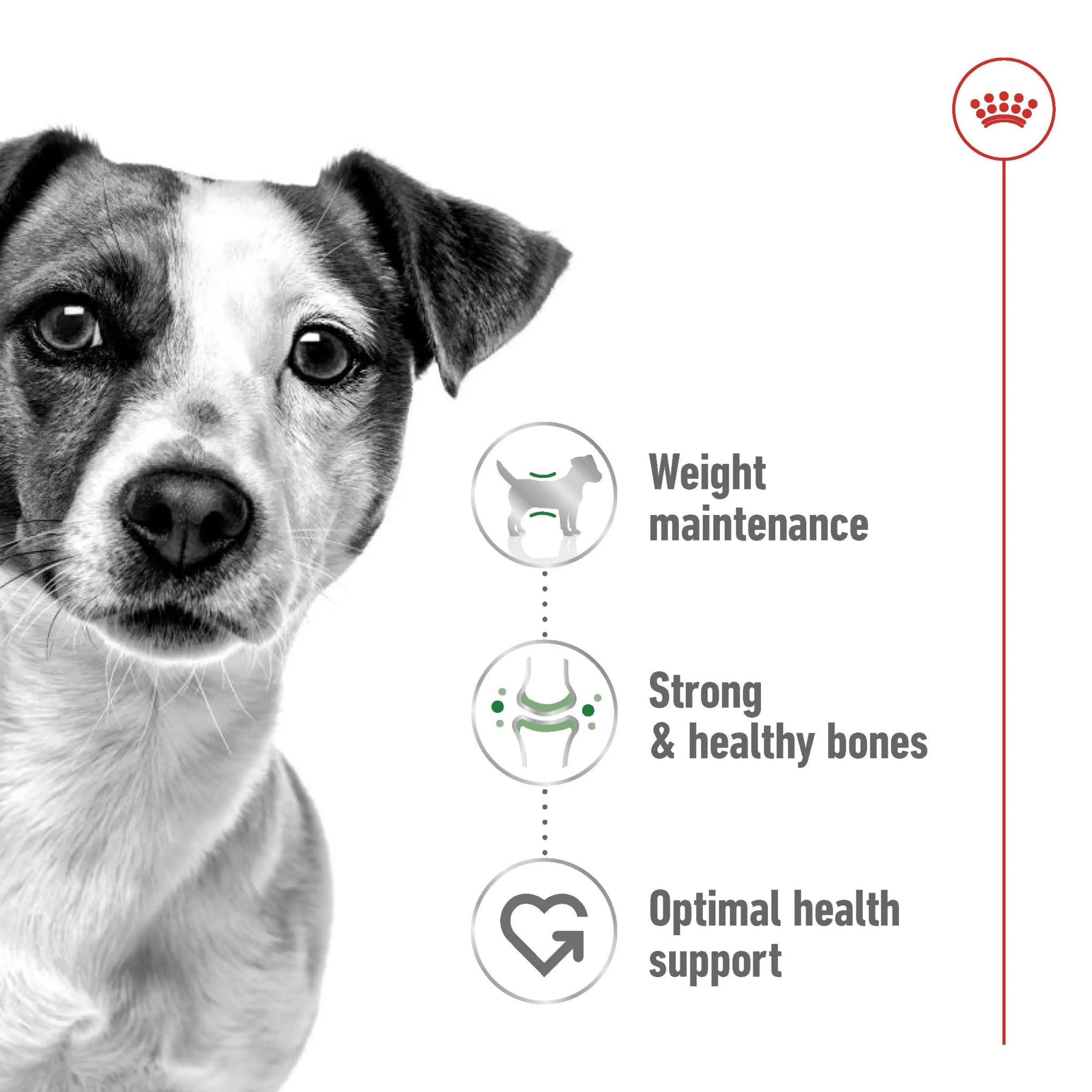 Size Health Nutrition Mini Adult 2 KG - The City Vet Shop