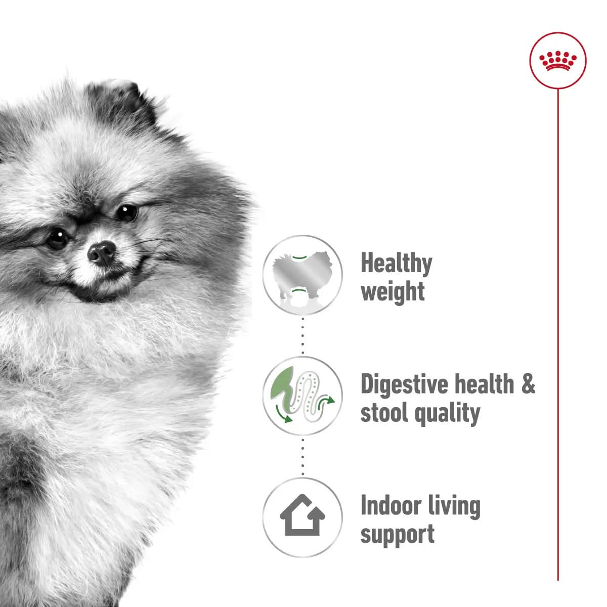 Size Health Nutrition Mini Indoor Adult 1.5 KG - The City Vet Shop