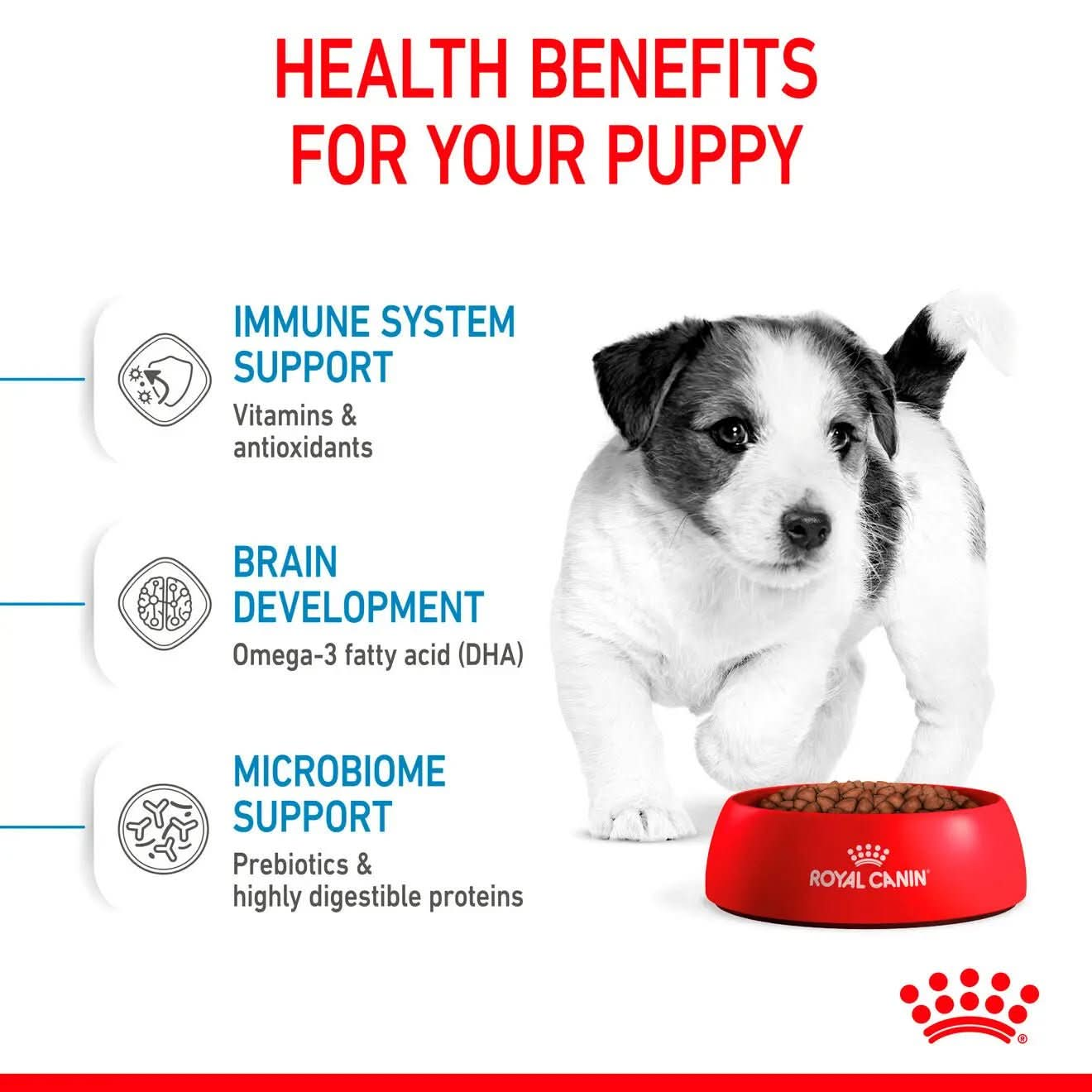 Size Health Nutrition Mini Puppy 8 KG - The City Vet Shop