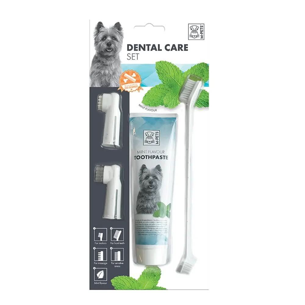 M - PETS Dental Care Set Mint Flavor Toothpaste Kit - The City Vet Shop
